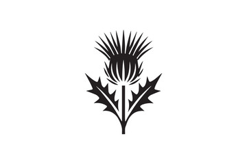 simple and subtle vector silhouette of thistle  in black and white, set against a white background. 