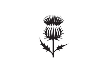 simple and subtle vector silhouette of thistle  in black and white, set against a white background. 
