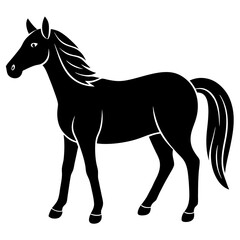 horse silhouette vector illustration