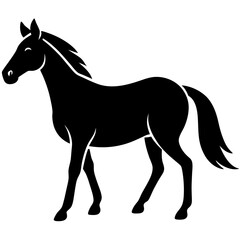 horse silhouette vector illustration