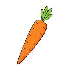 A single vibrant orange carrot with a green leafy top, slightly tapered in shape, fresh and crisp, ready to be enjoyed raw or cooked for a burst of natural sweetness.