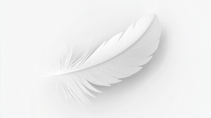 Obraz premium A delicate white feather gracefully resting on a soft white surface, embodying purity and lightness.