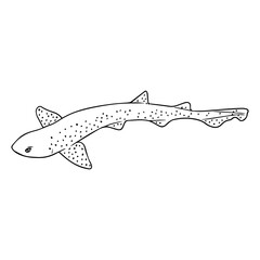 dogfish outline vector illustration