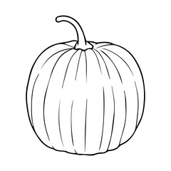 pumpkin outline vector illustration