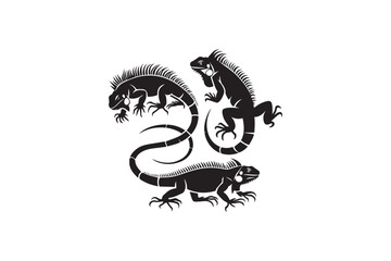 simple and subtle vector silhouette of iguanas in black and white, set against a white background. 
