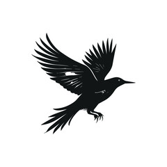 Flying Black Bird with Minimalist Composition