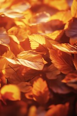 A close-up of vibrant orange fall leaves scattered on the ground.