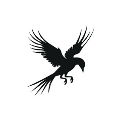 Flying Black Bird with Minimalist Composition