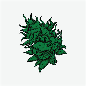 recommend clip art: Drug marijuana leaf hand drawn illustration artwork