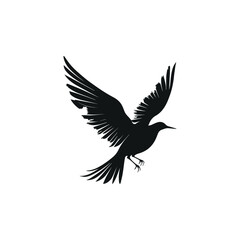 Flying Black Bird with Minimalist Composition