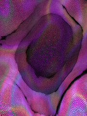 Pink abstract kaleidoscope. Festive banner