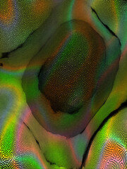 Yellow and green lights. Abstract background