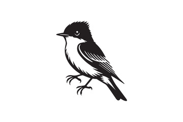 Bird vector silhouette illustration