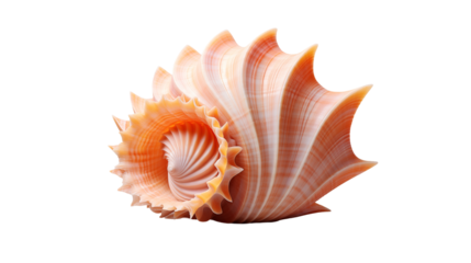 Peach Spiral Seashell, Detailed Ocean-Themed Design Isolated for Art and Nature Photography, transparent background.