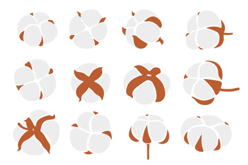 cotton flowers logo on a white background.Vector illustration cartoon style