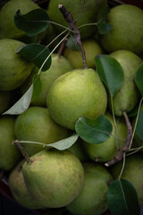Green fresh pears