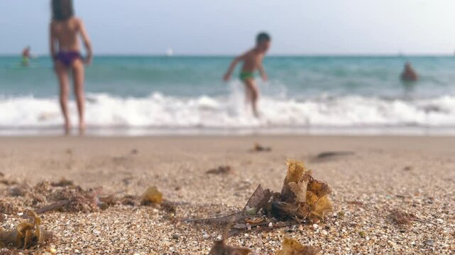 Kids splash and play in the waves on a tropical beach.