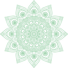 Beautiful flower art and mandala vector design