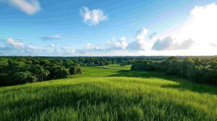 Naklejka premium Serene Green Grassland Landscape