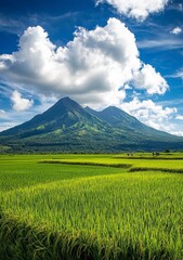 Fototapeta premium A photo of the grassy peak of Mount Arayat in Kalung, tanjil rÃ«a with blue sky and white clouds. In front is an endless rice field.