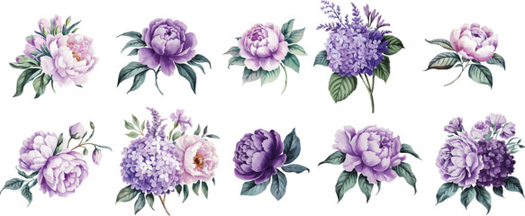 Set of purple watercolor flowers. Vintage watercolor flowers isolated on a white background.