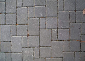 Outdoor Pavement Texture with Concrete Blocks