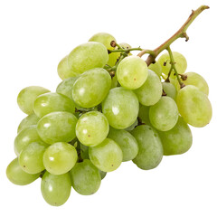 Bunch of Fresh Plump Grapes Isolated on White Background