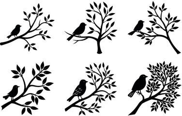Silhouette Birds on Branches - Black Vector Illustrations of Birds and Trees