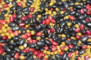 A Close Up of Dried Mixed Beans and Pulses on a White Background