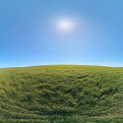 Obraz premium Sunny day, green field, clear sky, rural landscape, nature background