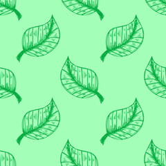 tea leaves pattern background. green leaves vector pattern background. Green tea leaf seamless pattern. seamless patterns with green leaves of tea.
