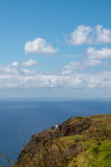 Cliffs and Atlantic ocean, Madeira, Portugal