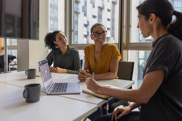 Successful happy mature businesswoman leading a meeting in a conference room