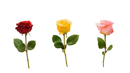 Obraz premium Vibrant Floral Arrangement of Red Pink and Yellow Roses in a Garden Bouquet Celebrating Love and Elegance