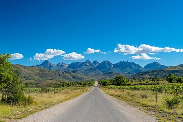 Naklejka premium An empty road leading to a mountain range under a clear blue sky, with vibrant greenery on both sides.