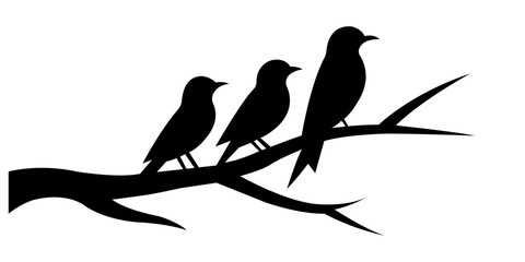 birds on a branch