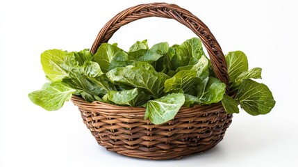 Fresh Green Lettuce in Woven Basket on White Background