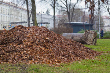 
a large pile of leaves in a park next to a tree and a building.