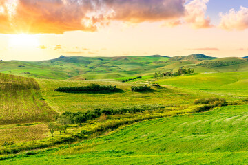 Beautiful landscape of green spring season field with salad grass, farm with garden and sunset or sunrise scenic sky