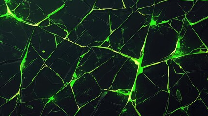 A textured background featuring dark cracks illuminated by vibrant green light.
