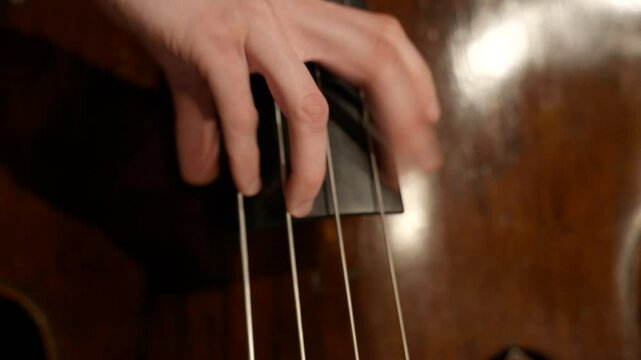 Hand playing at Contrabass 
