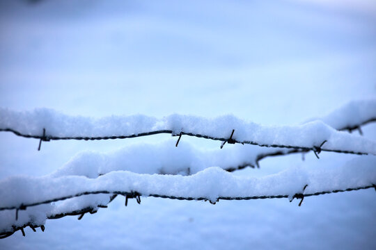 Close-Up of Snowy Barbed Wire Fence