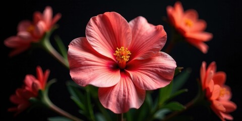 A Detailed Close-up of a Delicate Coral-Colored Blossom with its Intricate Petals and Vibrant Stamen, Surrounded by Other Blooms Against a Dark Background