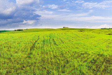 Fototapeta premium panoramic farmland landscape with green spring field , salad and yellow hills, garden and grassland and beautiful cloudy sky.