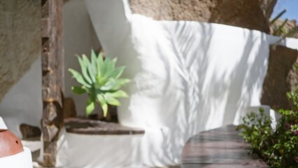 Obraz premium Blurred outdoor scene in lanzarote, spain with defocused plants, white architecture, and a rough-textured background in the canary islands sunlight.