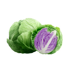 Obraz premium A vibrant green and purple cabbage, showcasing its layered leaves and cross-section.
