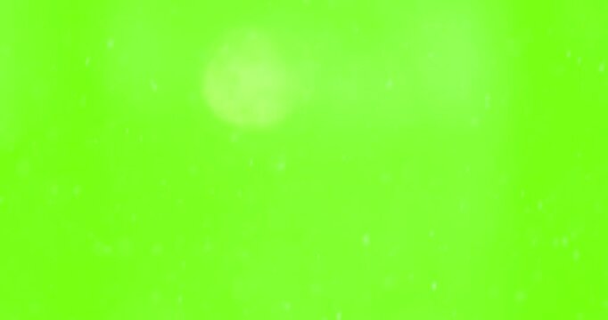 Snow Falling Video With Green Screen