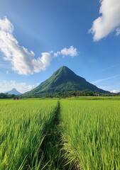 Fototapeta premium beautiful view of grassy mountain with blue sky in the background, there is an abandoned trail on top of it and some people walking around. 