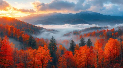 Selbstklebende Fototapeten This serene autumn landscape combines fog and mountains, creating a picturesque view that captures nature's tranquility and the beauty of changing seasons. © Barosanu