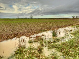 Champ inondé après des intempéries 